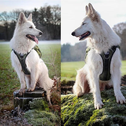 OneTigris Y-Shaped Dog Backpack with Handle, Pockets & No Pull D-Rings, Lightweight Hiking Gear for Dogs Hunting Camping Travel (Medium, Green)