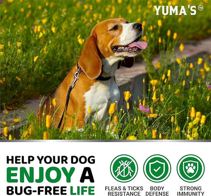 (2 Pack) Flea and Tick Prevention for Dogs Chewables - Natural Dog Flea and Tick Treatment Chewable Supplement - Oral Pills - All Breeds & Ages - Soft Chews - Made in USA