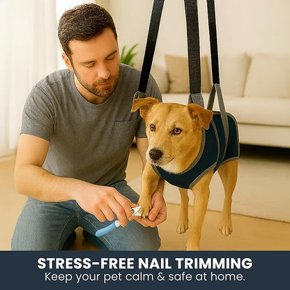 Pet Grooming Hammock Kit for Dogs & Cats - Includes Hammock Harness, Nail Clippers, Nail File, Grooming Glove, Dematting Comb, S-Hooks, Carabiners & Storage Bag for Easy Home Grooming Large (93×56) cm