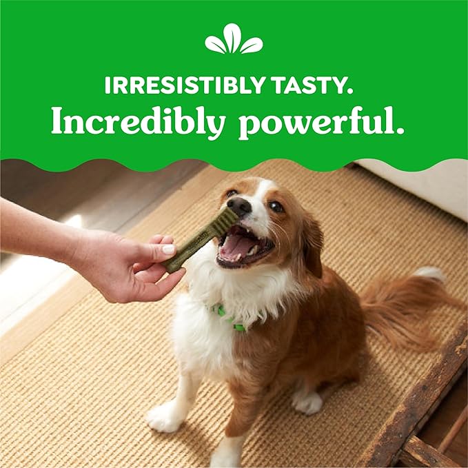 Greenies Original Petite Dental Dog Treats, 54 oz. Pack (90 Treats)