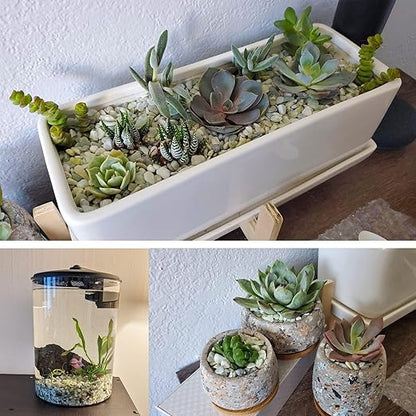 CJGQ 2.4lb Natural Gravel for Aquarium Succulents Bonsai Terrarium Fish Tank,1/5" Decorative Stone for Plants Indoor