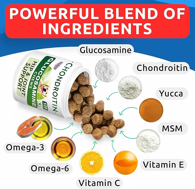 Glucosamine Chondroitin Dog Hip & Joint Supplement - Joint Pain Relief - Hip & Joint Chews for Dogs - Joint Support Large Breed - Senior Doggie Vitamin Pills Joint Health - (240 Treats - Bacon)