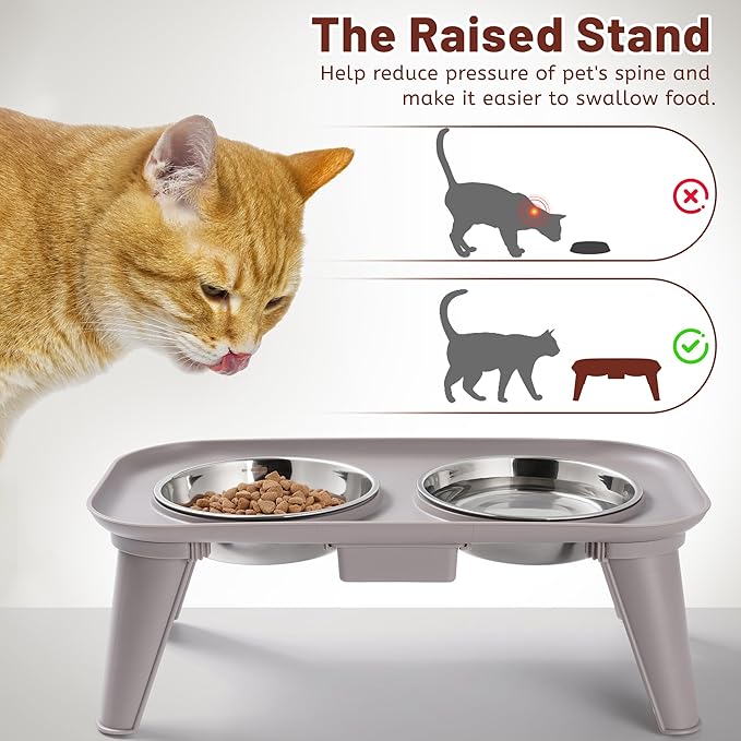 Elevated Cat Bowls, Stainless Steel Cat Food Bowls, Whisker Stress-Free, Raised Food and Water Dish for Cats