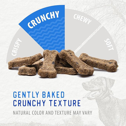 Caledon Farms The Dodo Crunchy Biscuits - Chicken with Apple & Blueberry 19.5oz, Dog Treats, Biscuits