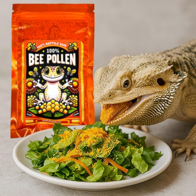 100% Bee Pollen Powder - Food for Reptiles