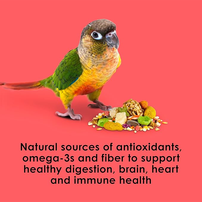 Kaytee Fiesta Conure Food, Nutritious and Fun Blend, Supports Skin, Feather, Digestion, Brain and Heart Health, 4.5 pounds