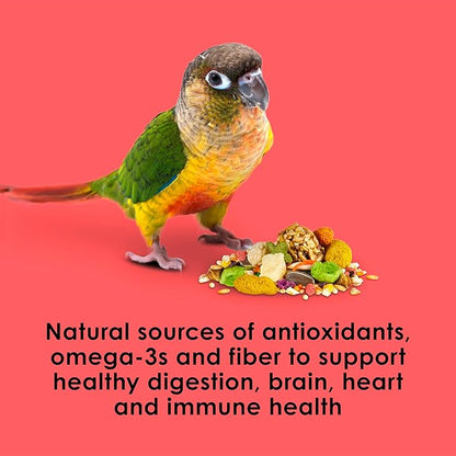Kaytee Fiesta Conure Food, Nutritious and Fun Blend, Supports Skin, Feather, Digestion, Brain and Heart Health, 4.5 pounds
