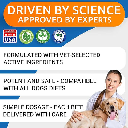 Glucosamine Chondroitin Dog Hip & Joint Supplement - Joint Pain Relief - Hip & Joint Chews for Dogs - Joint Support Large Breed - Senior Doggie Vitamin Pills Joint Health - (360 Treats - Chicken)