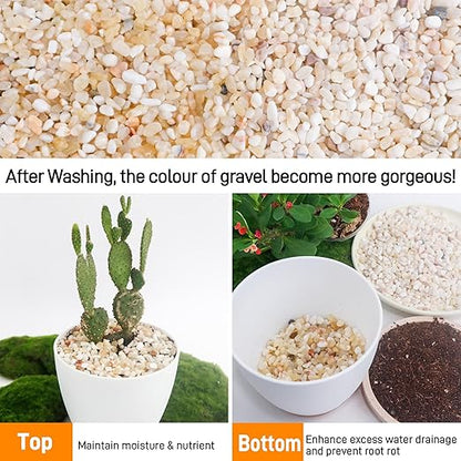7lb Aquarium Gravel for Plants,1/5 Inch Natural Decorative River Rocks for Succulent and Cactus Landscaping, Natural Small Rocks for Fish Tanks, Vases & Terrariums