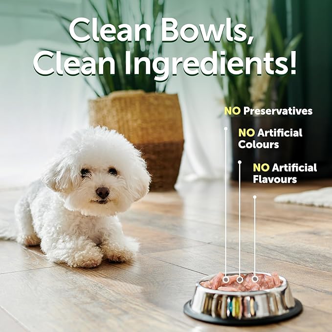 Nature's Protection Wet Dog Food Pouches for Small & Large Breed - High Protein, 24-Pack Soft Dog Food Toppers for Adult Light Coated Dogs (Superior Care - Tuna Fish, 2.46-oz)