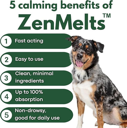 Calming Strips for Dogs 4-in-1 – 10 Strips – Relaxation Support with Chamomile, L-Theanine, Tryptophan & Melatonin for Dogs – Supports Calm During Fireworks, Storms & Travel – Pet Zen Formula