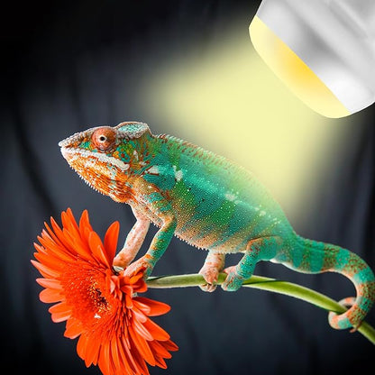 100W Intense Basking Spot Lamp – UVA Daylight Heat Bulb for Reptiles, Simulates Natural Sunrise and Sunset, Enhances Natural Behavior, Suitable for Bearded Dragons, Turtles, Geckos | 2 Pack