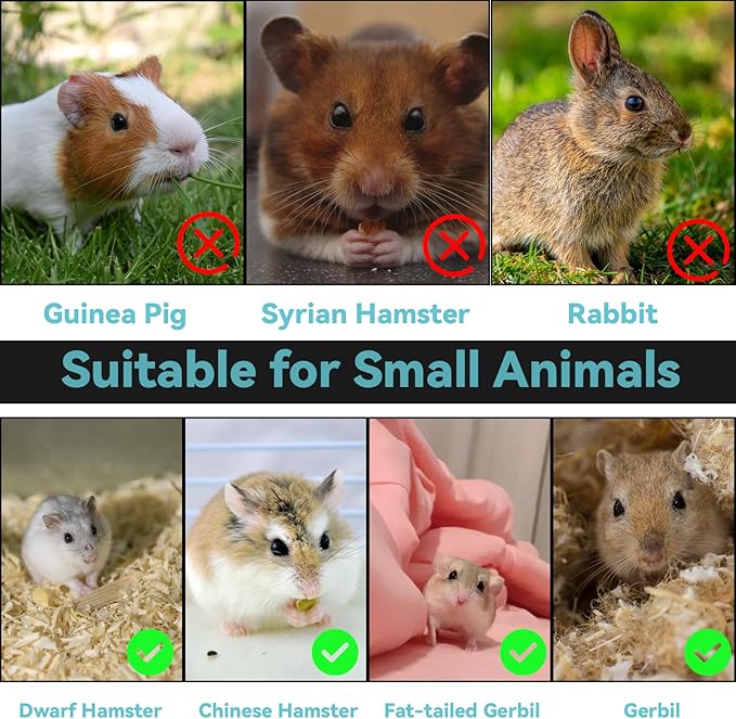 Tfwadmx Dwarf Hamster Cage,Acrylic Rat Cage,Hamster Home Small Animal Cages with Tube Exercise Wheel Mouse Habitat for Gerbils Mice 17.7”x11”x11.8”