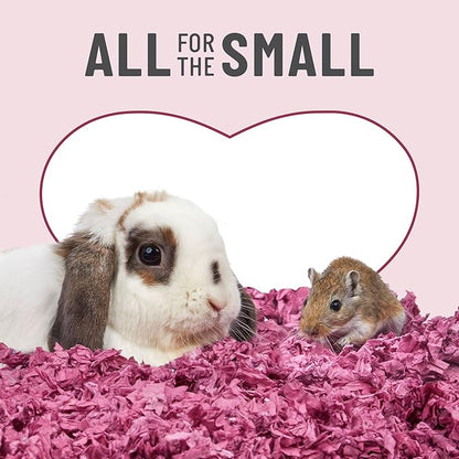 Kaytee Clean & Cozy Colors, Small Animal Bedding with Extreme Odor Control, Plum, 24.6 Liters