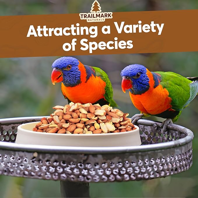 10 LB - Raw Shelled Peanuts For Squirrels, Out of Shell Peanuts For Birds and Wildlife- Squirrel Food, Wild Bird Seed -Grown in The USA