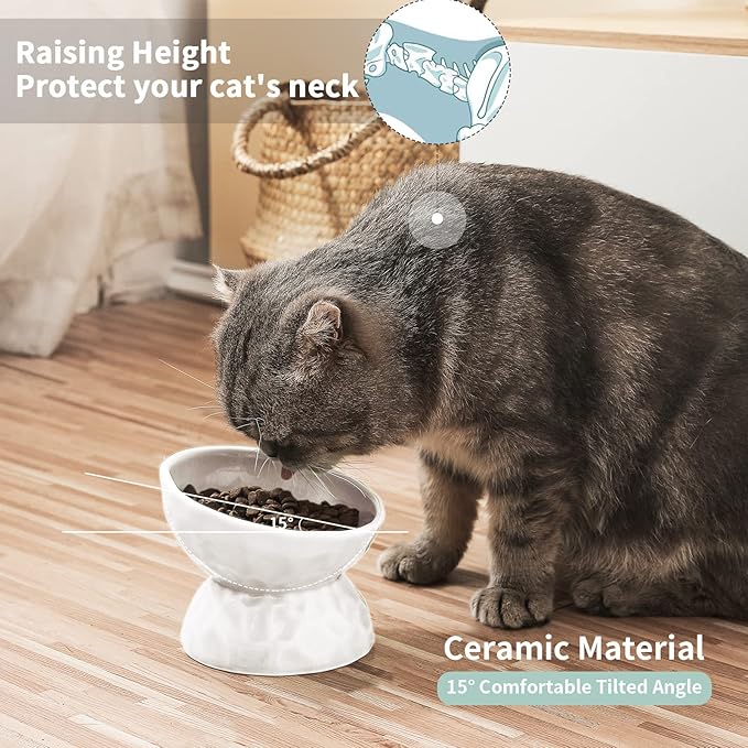 OMAYKEY Ceramic Raised Cat Bowls, Tilted Elevated Cat Food and Water Bowl Set, Porcelain Stress Free Pet Feeder Dish for Cats and Small Dogs, Dishwasher and Microwave Safe, White & White, Set of 2