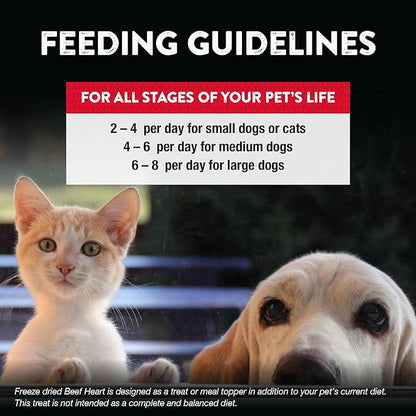 Northwest Naturals Raw Rewards Freeze-Dried Beef Heart Treats for Dogs and Cats - Bite-Sized Pieces - Healthy, 1 Ingredient, Human Grade Pet Food, All Natural, Proudly Made in USA, 10 Oz