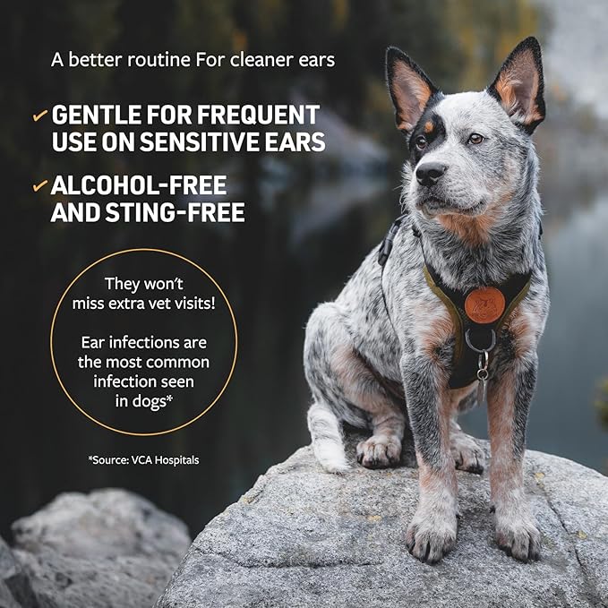 Veterinary Formula Clinical Care Ear Therapy Bundle with Cleaner Solution 8 Fl Oz + Cleaner Wipes 100 ct – Cat & Dog Ear Cleaner, Helps Soothe Itchiness and Clean The Ear Canal of Debris and Buildup