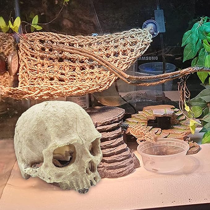 kathson Reptile Habitat Skull Decoration Bearded Dragon Tank Accessories Resin Human Skulls Hide Cave Hanging Vines Plant for Lizards Tortoise Snake Chameleon Spider Reptiles Amphibians(4 PCS)