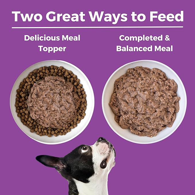 KOHA Limited Ingredient Diet Kangaroo Entrée for Dogs - Grain Free Wet Dog Food with No Fillers - Sensitive Stomach Kangaroo Dog Food - 13 oz Pack of 12