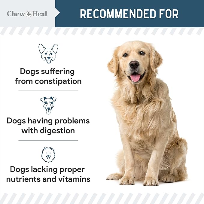 Probiotics for Dogs with Digestive Enzymes - 120 Soft Chews - Supports Healthy Digestive Tract, Helps Nutrient Absorption and Food Digestion - Probiotic & Prebiotic Dog Fiber and Gut Health Supplement