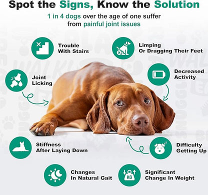 Doggie Dailies, Hip and Joint Supplement for Dogs, Glucosamine Chondroitin, Premium Hip and Joint Chews for Dogs All Breeds & Sizes, Dog Vitamins and Supplements, (Peanut Butter) 225 Chews