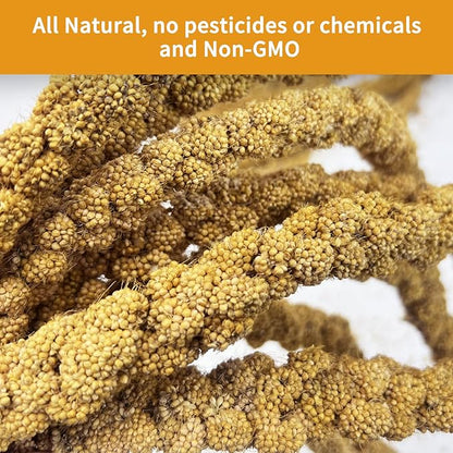 kathson Natural Sun-Dried Birds Millet Spray Millet Treat Bird Snacks for Parrots Cockatiels Lovebirds Painted Buntings and Finches Parakeets 4.4 LB