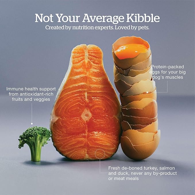 Now Fresh Grain-Free Large Breed Dry Dog Food with Turkey, Salmon & Duck, Premium Kibble for Adults Made with Real Meat & Fish, Chicken-Free, Glucosamine & Chondroitin for Healthy Joints, 12 lb Bag