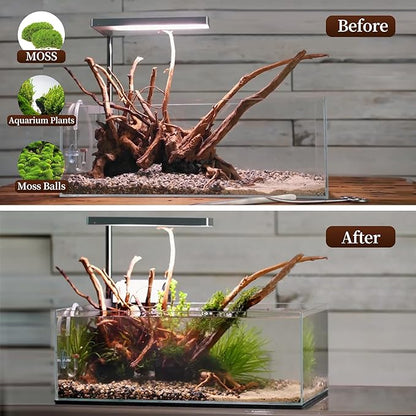 majoywoo Natural Large Driftwood for Aquarium Decor Reptile Decor, Assorted Spider Wood Branch 13-17" Long, Fish Tank Decoration