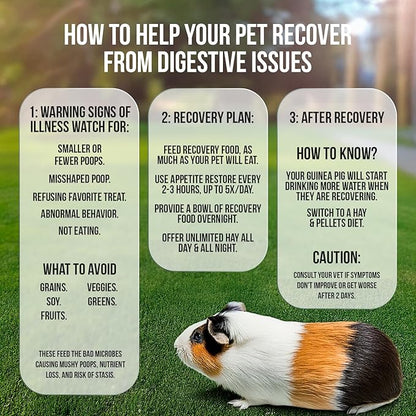 Pet Guinea Pig Emergency Kit with Timothy Recovery Food (Large Emergency Kit)