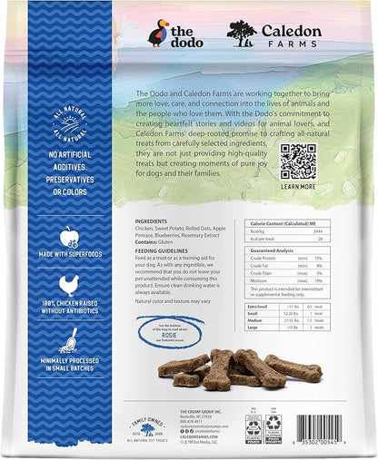 Caledon Farms The Dodo Crunchy Biscuits - Chicken with Apple & Blueberry 19.5oz, Dog Treats, Biscuits