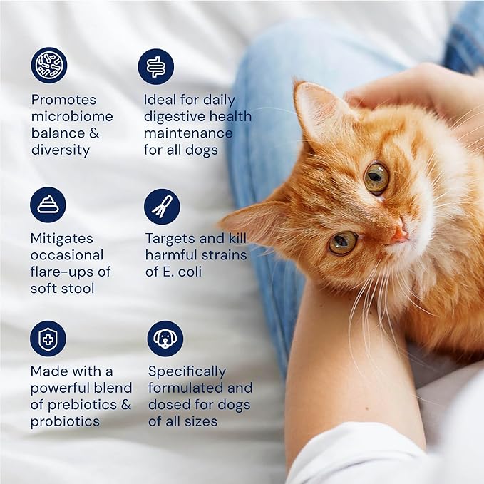 Cat Probiotics - GMP Prebiotics and Probiotics - Reduces Diarrhea Flareups for Cats - KittyBiome