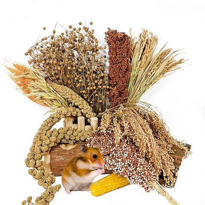 Natural Hamster Flower & Herb Habitat Deocr, Hamster Sprays Herbs Bedding Mate, Hamsters Cage Enrichment Decoration Accessories for Gerbil Dwarf Syrian Hamsters Mouse Guinea Pig Mice or Small Animals