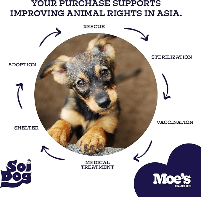 Moe’s Dog Joint Supplement 90 Soft Chews – Glucosamine, Chondroitin & Hyaluronic Acid with Vitamins C & E – Advanced Hip and Joint Support for Dogs – Ideal for Bone Health & Joint Pain Relief