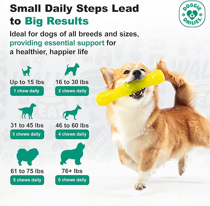 Doggie Dailies, Hip and Joint Supplement for Dogs, Glucosamine Chondroitin, Premium Hip and Joint Chews for Dogs All Breeds & Sizes, Dog Vitamins and Supplements, (Chicken) 120 Chews