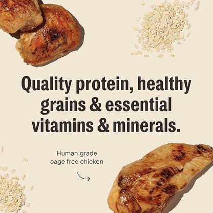 The Honest Kitchen Essential Clusters Dog Whole Grain Chicken 20 lb Bag