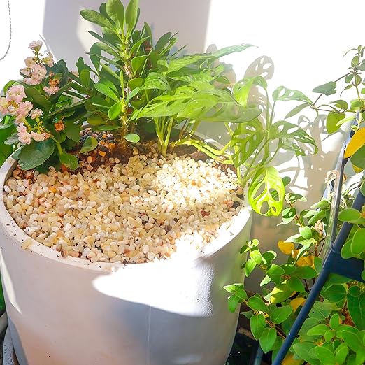 7lb Aquarium Gravel for Plants,1/5 Inch Natural Decorative River Rocks for Succulent and Cactus Landscaping, Natural Small Rocks for Fish Tanks, Vases & Terrariums