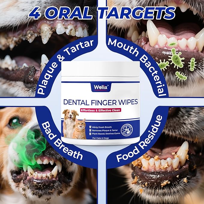 Wellix 100 Count Dog Teeth Cleaning Wipes for Dogs & Cats - Natural Formula Dental Care Finger Wipes Reduces Dog Plaque, Tartar & Bad Breath - No-Rinse Disposable Dog Dental Wipes