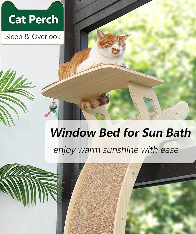 Cat Window Perch with Scratcher Ramp, 48" Climbing Tree Suctions Cups to Window Maximum Hold Up to 45lb, Wood Kitty Bed for Small Window