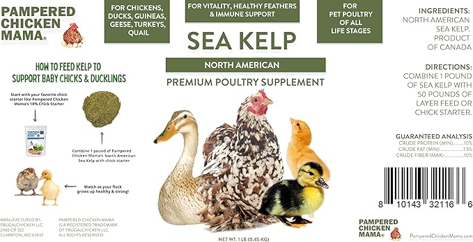 Kelp for Chickens & Duck Feed (1 Pound): Chicken Vitamins | Chicken Supplements | Vitamins for Chickens | Pampered Chicken Mama