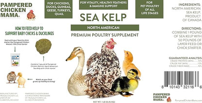 Kelp for Chickens & Duck Feed (1 Pound): Chicken Vitamins | Chicken Supplements | Vitamins for Chickens | Pampered Chicken Mama