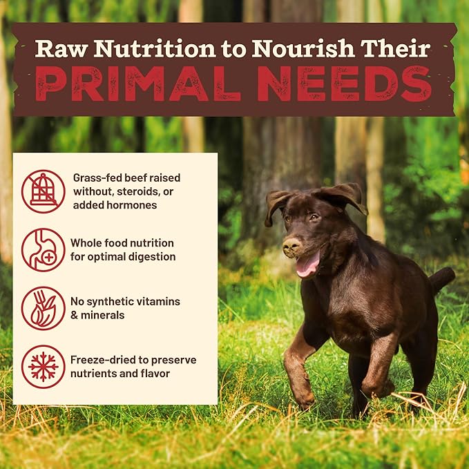 Primal Kibble in The Raw, Freeze Dried Dog Food, Beef, Scoop & Serve, Made with Raw Protein, Whole Ingredient Nutrition, Crafted in The USA, Dry Dog Food 5.4 lb Bag