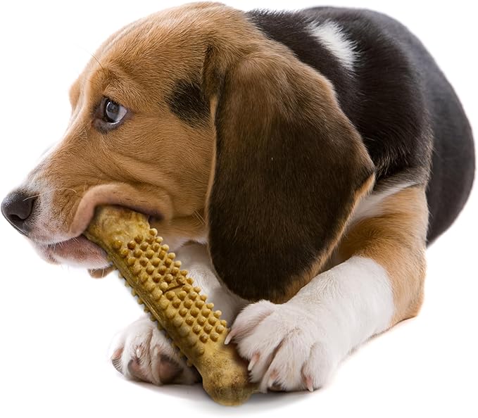 Nylabone Nubz Natural Dog Chew Treats for Large Dogs, Long Lasting Dog Bones Made in USA, Chicken Flavor Breath Freshener Dental Chews, for Dogs Up to 50 lbs. (8 Count)