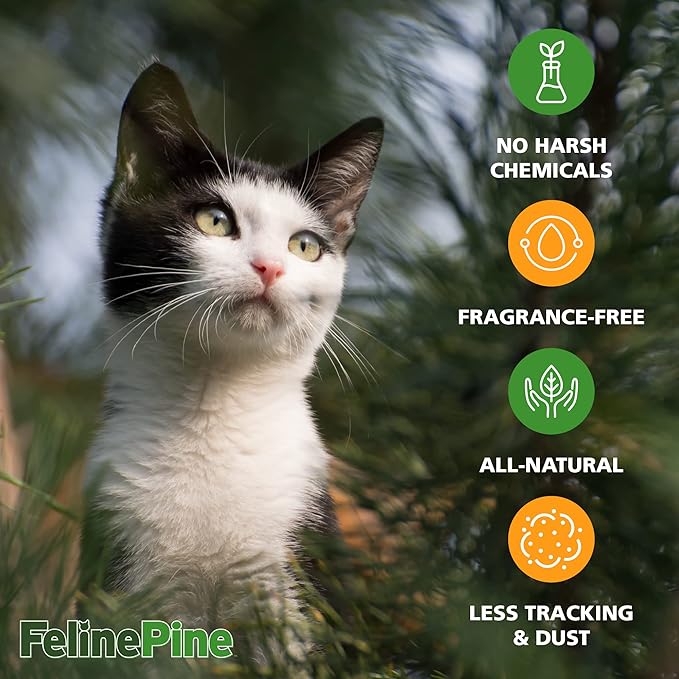 Feline Pine Platinum Non-Clumping Cat Litter 18lb. (Pack of 2)