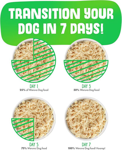 Weruva Classic Dog Food, Jammin' Salmon with Chicken & Salmon in Gravy, 14oz Can (Pack of 12), Red (Jammin’ Salmon)