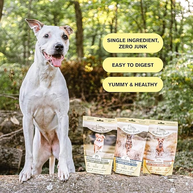 Superfood Bite, Freeze-Dried Raw Dog Treats - Protein Rich, Train & Reward, Traceable Single Ingredient by Katherine Heigl (4 Ounce (Pack of 4) Chicken Breast)