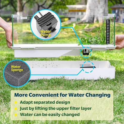 BETAZOOER Turtle Tank with Adjustable Water Pump Filter, Full View Visually Tortoise Aquarium Habitat, Glass Material Easy Changing Water&Clean for Small Amphibious Creatures Reptiles 15.7"×11.8"×10"