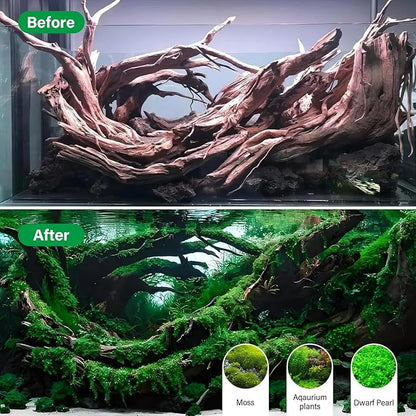 Driftwood for Aquarium Natural Aquarium Wood for Aquascaping Fish Tank Decorations Reptile Tank Decor (Natural Driftwood 12-16" 1 Pack+Protein Cotton)