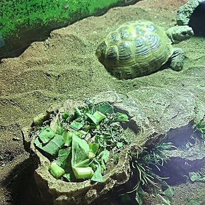 kathson Turtle Basking Platform,Tortoise Resin Climbing Rock Rectangular Resting Terrace Tank Accessories,Reptiles Dock Hide Cave Habitat Decoration for Bearded Dragon Lizard Geckos Spiders (3 PCS)