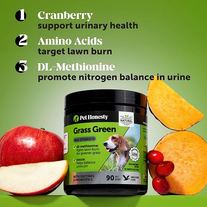 Grass Green Max Strength Burn Spot Chews for Dogs - Premium Formula - Dog Pee Lawn Spot Saver Supplement Caused by Dog Urine, Supports Healthy Digestion w/Probiotics + DL-Methionine - 90ct